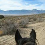 Robin Merrill Payne - @robin.m.payne.7 - Instagram