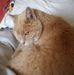 Robin Merrill Payne - Facebook