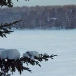 Sandy Merrill Williams - @sandywms1 - Instagram