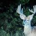 Merrill Wilson - Facebook