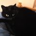 Merrilyn Jones - Facebook
