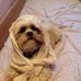 Merrilyn Smith - Facebook