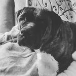 merry miller - @merrymiller30 - Instagram