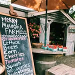 Merry Mountain Farm - @merrymountainfarm - Instagram