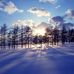 Merry Van Price - Facebook
