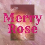 Merry  Rose(メリーローズ) - @merry_rose1994 - Instagram