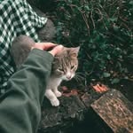 @merry_rose0 - Instagram