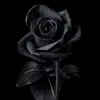 Merryrose - @black_roseblack - TikTok