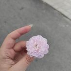 Merve Bayram - Facebook