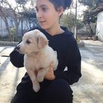 Merve Bayram - Facebook