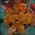 Merve Vural - Facebook