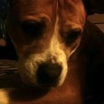 Marvin Reed - @marvin.reed.988711 - Instagram