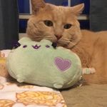 Marvin Rogers - @thebufftabby - Instagram