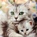Mery Juliette Navarro Castro - Facebook