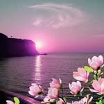 Mery Ulloa - @meryulloa60 - Instagram