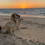 Meryl Smith - @billy_and_ruby_ - Instagram