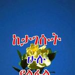 Meseret Abebe - @meseret712 - Instagram