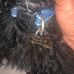 Mesha Walker - Facebook