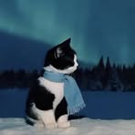Mew Wongraprachan - Facebook