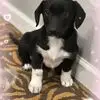 Mia Andrade - @mia.andrade859 - TikTok