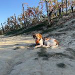 Mia Baconcina - @mia_baconcina - Instagram