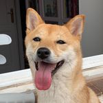 Mia - @mialovesbacon - Instagram