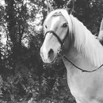 x.Mia.x❤🦄 - @miabaptiste2011 - Instagram