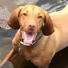 Mia!!!🤪🥳😎😂 - @mia_barbieri17 - TikTok