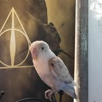 Mia Barlow - Facebook