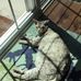 Mia Barone - Facebook