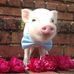 Mia Bartholomew - Facebook