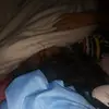 Guadalupe Tellech142 - @miabasurto29 - TikTok