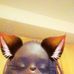 Mia Beal - Facebook