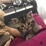 Mia 🐱 - @mia.beans - Instagram