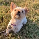 ✨Mia✨ - @_mia_bean - Instagram