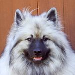 Mia Bear - @mia_bear_duncan - Instagram