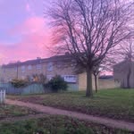 Mia - @miabeardsley2 - Instagram