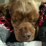 @mia_beavers_ - Instagram