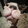 Mia - @mia.bernard1 - TikTok