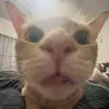 MIALUVESHERSELF - @miabetts - TikTok