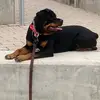 Mia Bibbs - @hazeleyez004 - TikTok