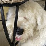 Mia Biggs - @dumb.londe - Instagram