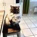 Mia Bouchard - Facebook