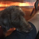 Mia Buschhaus - @miabuschhaus - Instagram