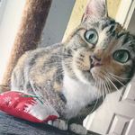 Mia Canady - @amelia_thetorbi - Instagram