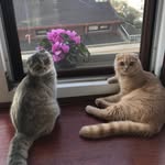 Casper&Mia&Sky - @casperandmia - Instagram