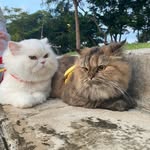 𝓜𝓲𝓪 & 𝓒𝓪𝓼𝓹𝓮𝓻 - @mia__cas_1222021 - Instagram