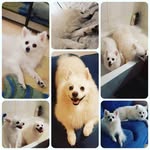 Mia and Casper - @miaandcasper - Instagram