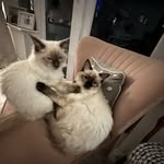 Mia and Casper - @mia_and_casper2022 - Instagram