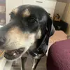 Mia Caspers - @mia.caspers - TikTok